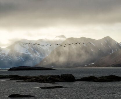 Svalbard