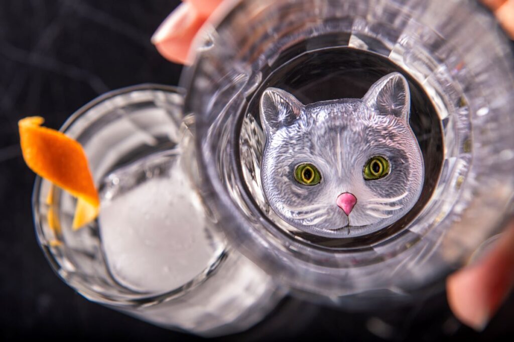 Scat Cat Lounge  The Cat Drink