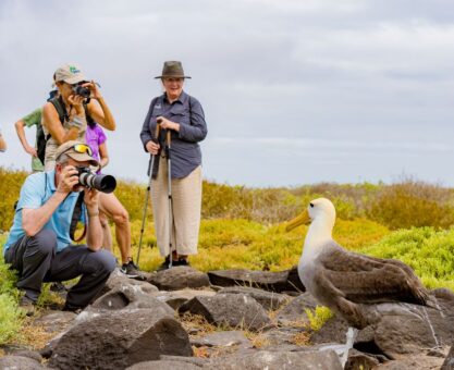HX Audubon Galapagos